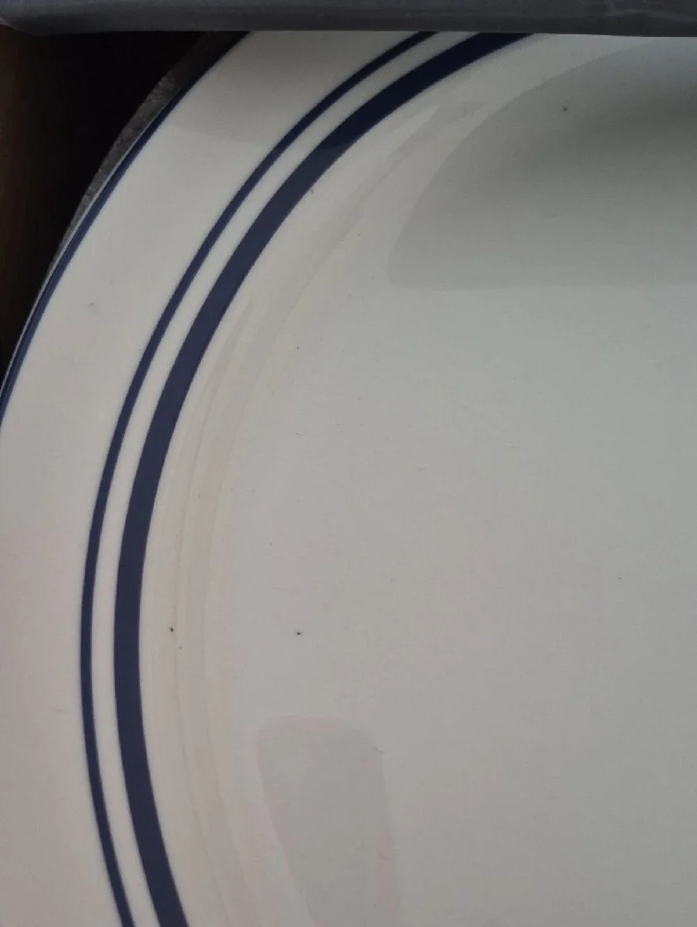 Sur La Table White Ceramic Dinner Plate with Navy Stripes - 4-Piece Set